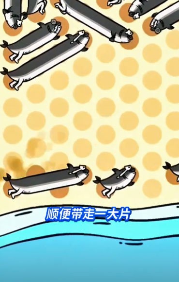 这关很难过游戏主播版