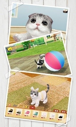 心动小猫最新版