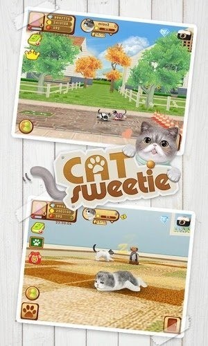 心动小猫最新版  v1.36.2图1