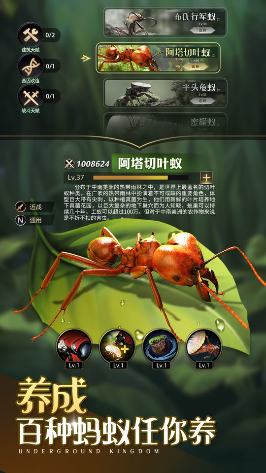 小小蚁国37版本90天罩子  v1.49.0图2