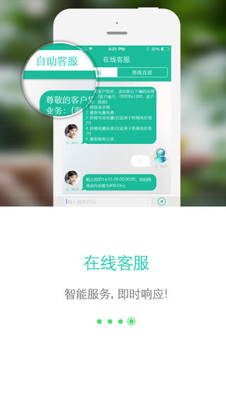 网上国网安卓版