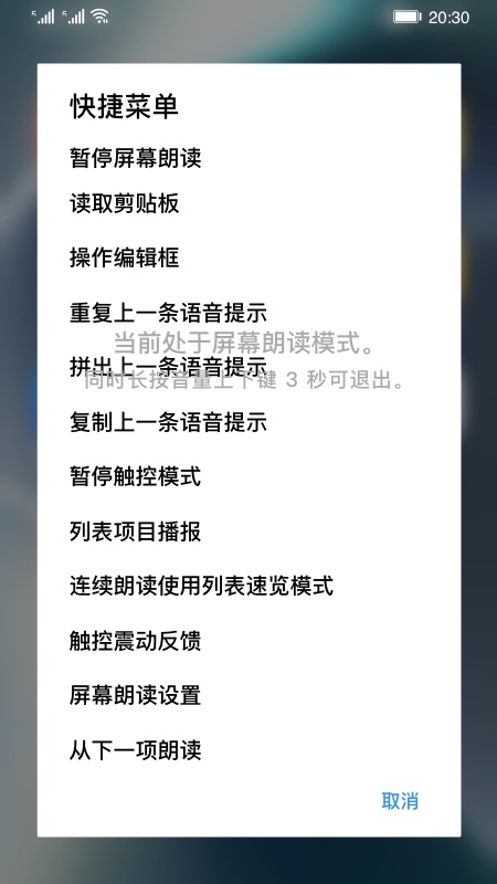 屏幕朗读最新版下载苹果版  v14.0.0.302图2