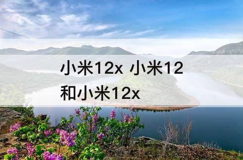 小米12x 小米12和小米12x