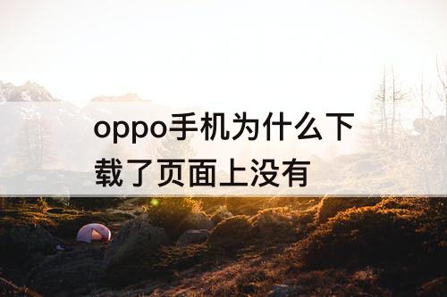 oppo手机为什么下载了页面上没有