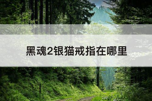 黑魂2银猫戒指在哪里