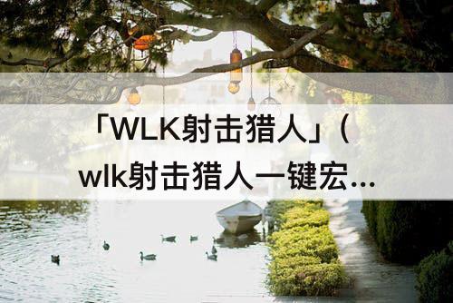 「WLK射击猎人」(wlk射击猎人一键宏335)