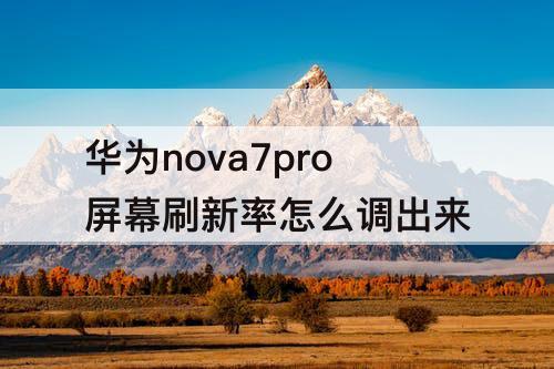 华为nova7pro屏幕刷新率怎么调出来