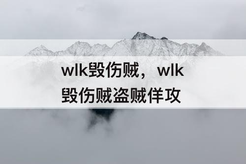 wlk毁伤贼，wlk毁伤贼盗贼佯攻
