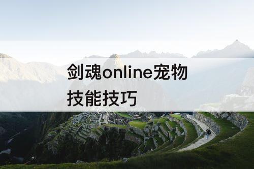 剑魂online宠物技能技巧