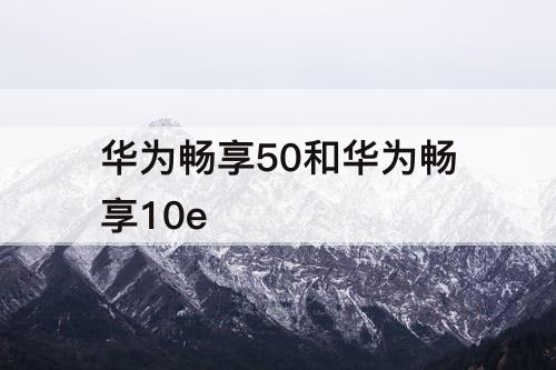 华为畅享50和华为畅享10e
