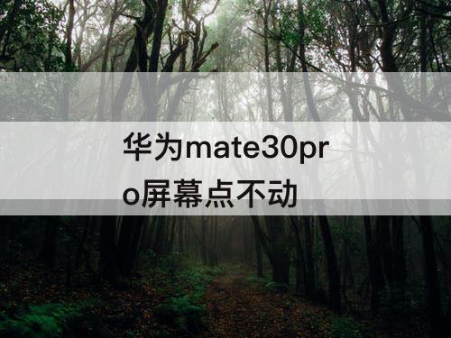 华为mate30pro屏幕点不动