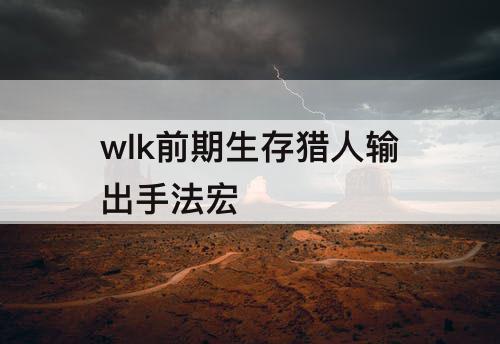 wlk前期生存猎人输出手法宏