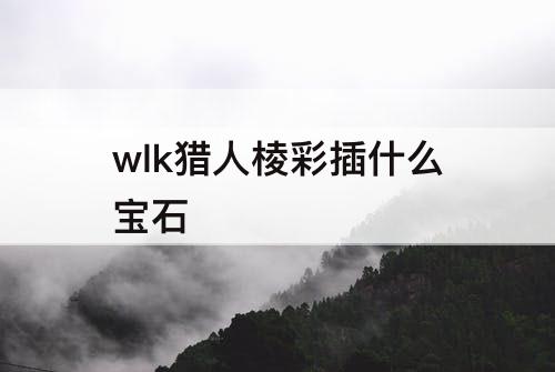 wlk猎人棱彩插什么宝石