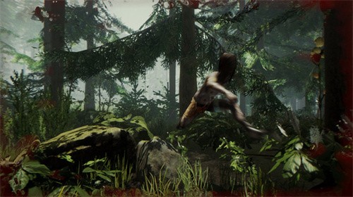 森林手游中文版下载地址  v1.02图2