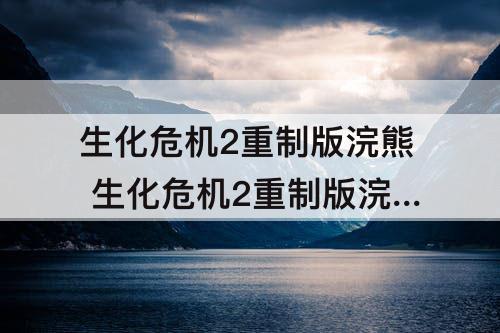 生化危机2重制版浣熊 生化危机2重制版浣熊市本地人