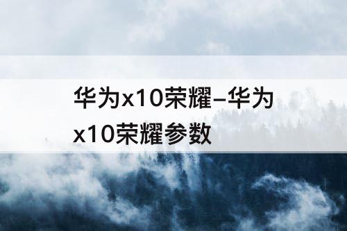 华为x10荣耀-华为x10荣耀参数