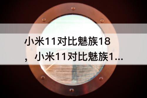 小米11对比魅族18，小米11对比魅族18s