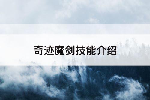 奇迹魔剑技能介绍