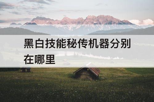 黑白技能秘传机器分别在哪里