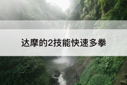 达摩的2技能快速多拳