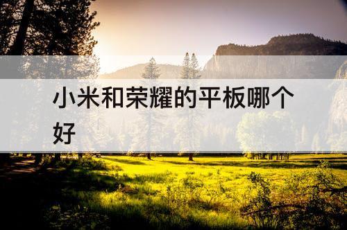 小米和荣耀的平板哪个好