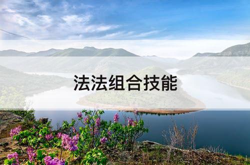 法法组合技能