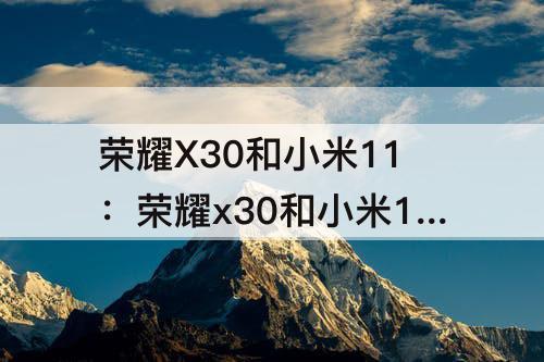 荣耀X30和小米11：荣耀x30和小米11青春版哪个质量好