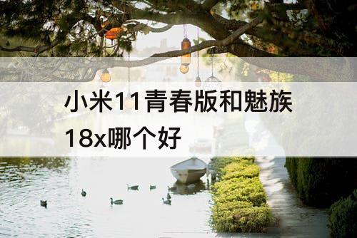小米11青春版和魅族18x哪个好
