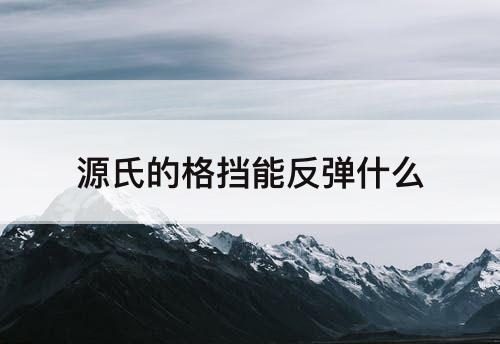 源氏的格挡能反弹什么