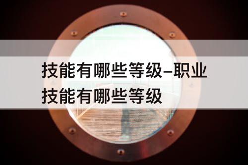 技能有哪些等级-职业技能有哪些等级