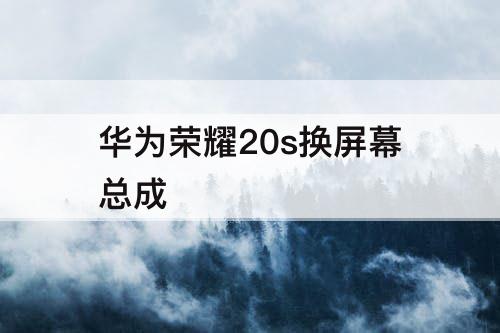 华为荣耀20s换屏幕总成